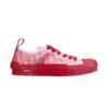 DIOR B23 LOW-TOP SNEAKER - DO029