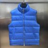DIOR OBLIQUE SLEEVELESS DOWN JACKET - DRC013