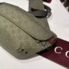 Large belt bag with print in Beige GG Canvas - BG066