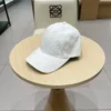 Louis Vuitton Caps - LVC027