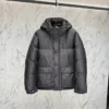 Louis Vuitton Monogram Padded Light Blouson - LVC69