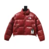 The North Face Stand-up Collar Short Down Jacket Red - TNC011