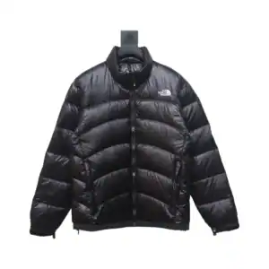 The North Face Outdoor Waterproof Optoelectronic Liner Down Jacket Black - TNC009
